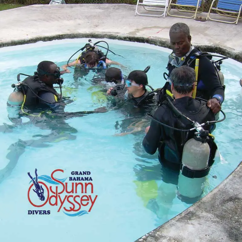 Sun Odyssey Divers