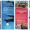 Bimini Visitors Guide, 2025 - Image 2
